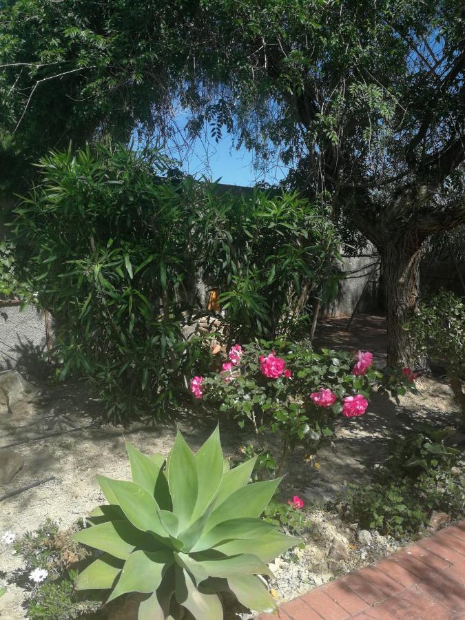 Vallonga Finca San Diego, Villa Entera Para Ti מראה חיצוני תמונה
