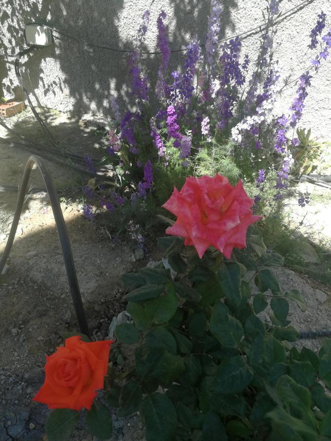 Vallonga Finca San Diego, Villa Entera Para Ti מראה חיצוני תמונה